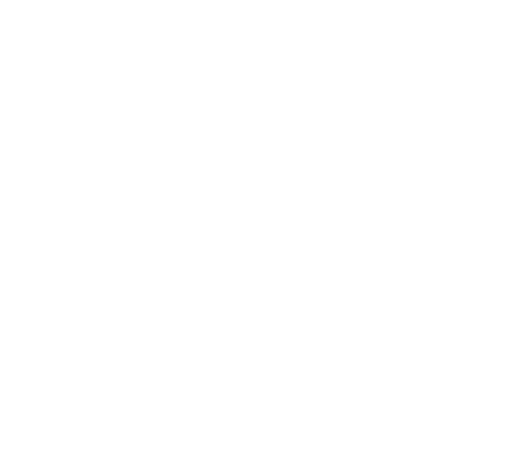 Executive Fitness